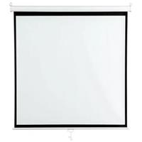 Nástěnné projekční plátno AVELI 213x213 (1:1) 119"